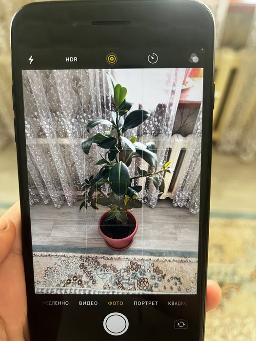 Прадам айфон 7 плюс