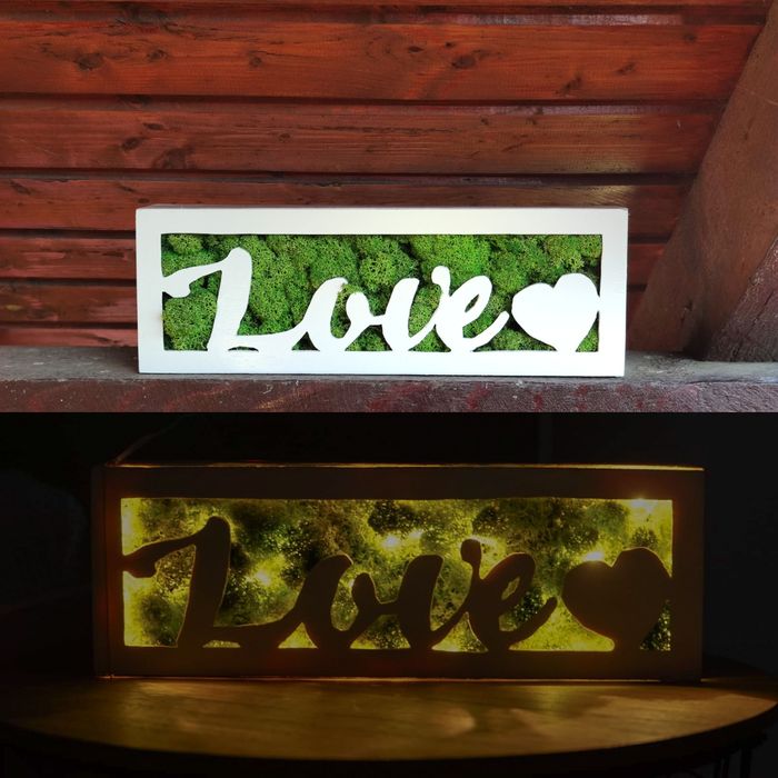 Tablou lampa licheni verzi Handmade "Love"diferite modele CadouCraciun