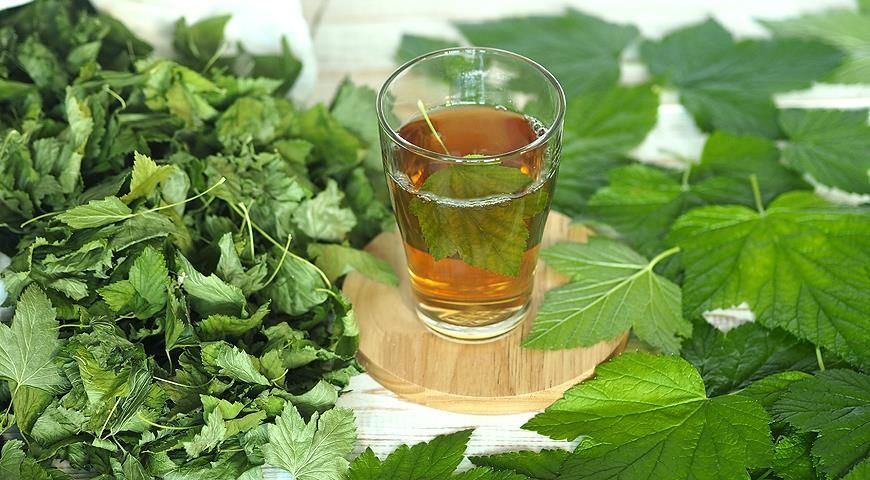 Продам листья смородины