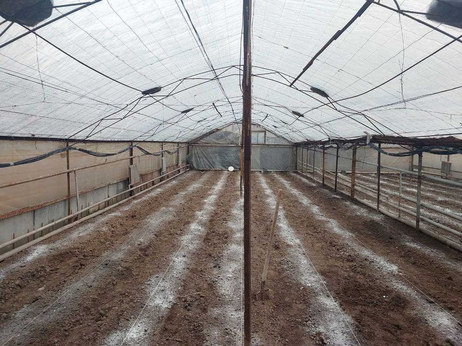 Issiqxona 20×13 m | Теплица 20×13 м