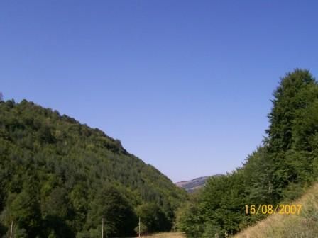 Продава се Земеделски имот в Троян -  кв.м за 7 €/дка - Снимка #7