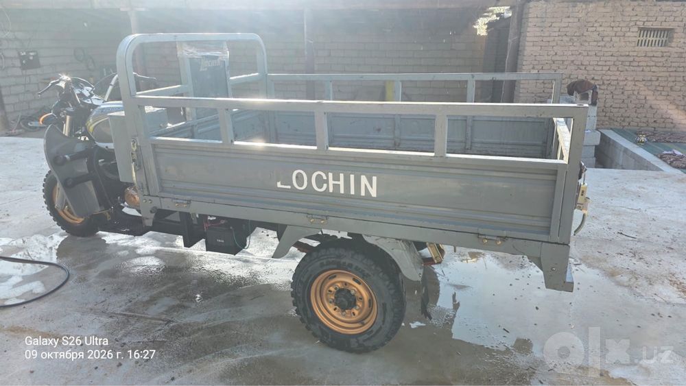 Lochin muravey муравей