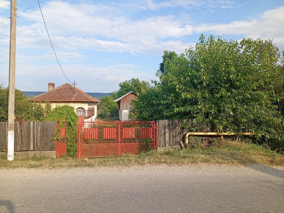 Casă    de vînzare