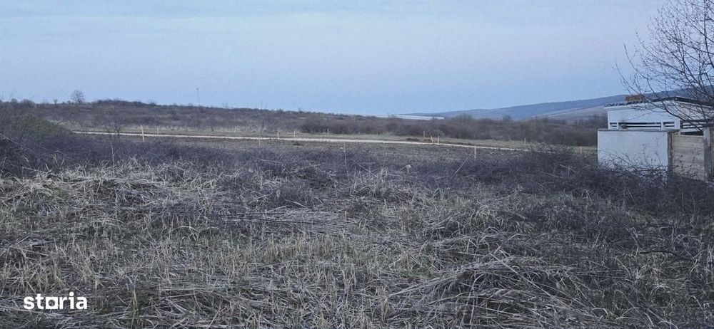 Teren de vânzare, loc. Paleu