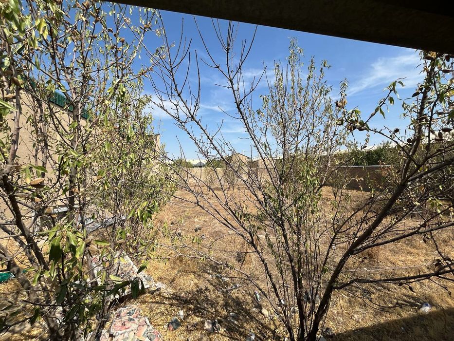 Самарканд савхозда жуда шинам ер участкаси сотилади