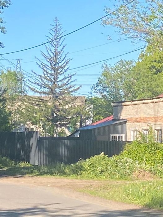 Сдам в аренду площадь 200 м²