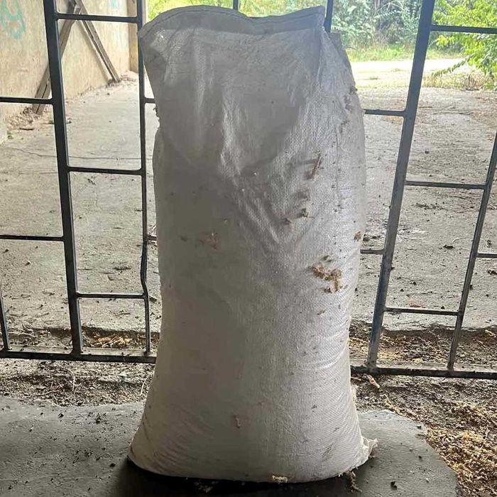 Сухи дървени стърготини/талаш от бук, дъб и чам