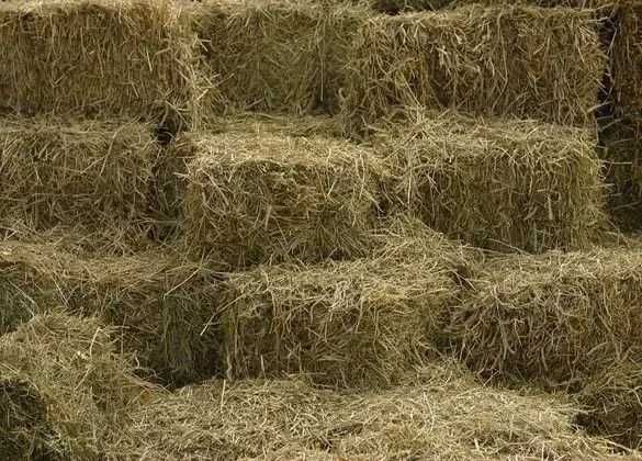 Сено рулонни бали, слама!