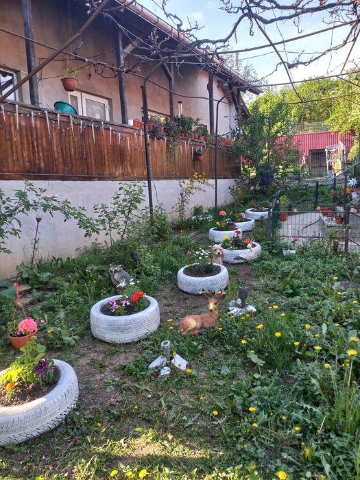 Vand casa si magazin