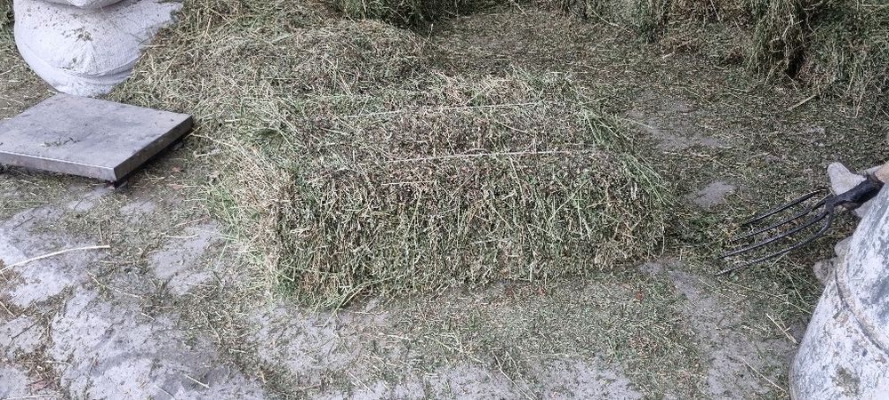 Беда пресс Бухоро Beda pres Buxoro G‘ijduvonda