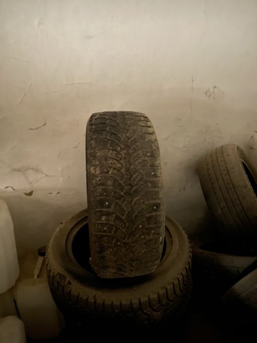 Балон жаксы шип пен жимной