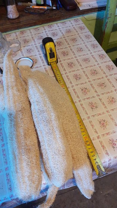 Lufa burete natural luffa