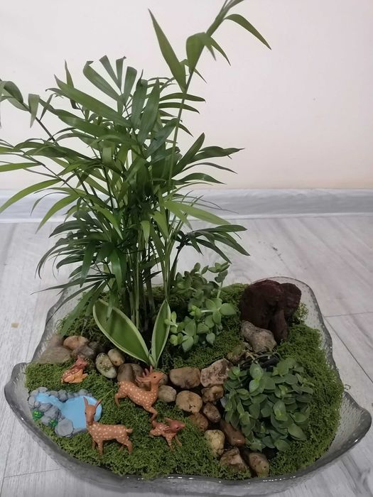 Терариуми с естествени и изкуствени цветя