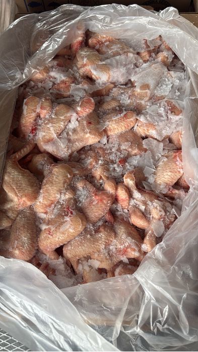 Куриныя продукция