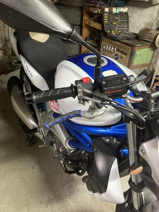 Suzuki  Sfv 650 Gladius