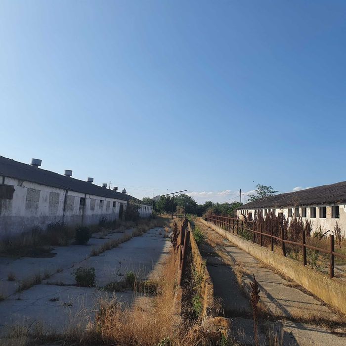 Ferma agricola,de vanzare