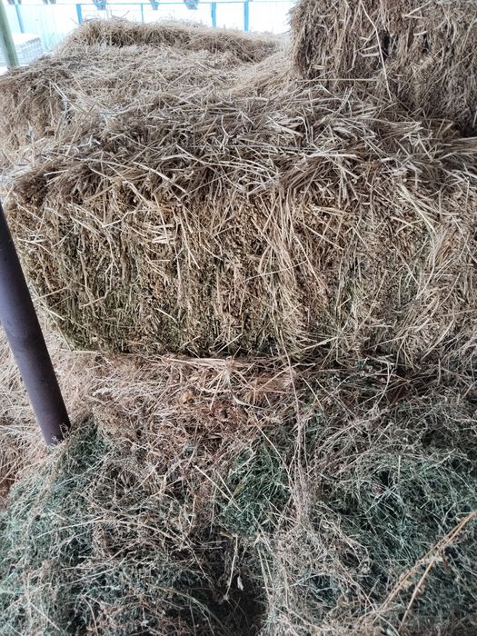 Продам тюки клевера.