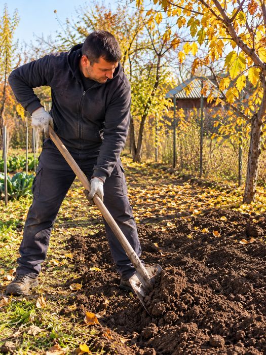 Servicii Debarasari Vegetale, Tuns Iarba, Curățenie Generală, Frezat Și  Multe Altele!