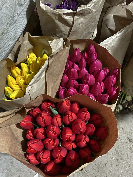 Тюльпаны оптом и в розницу