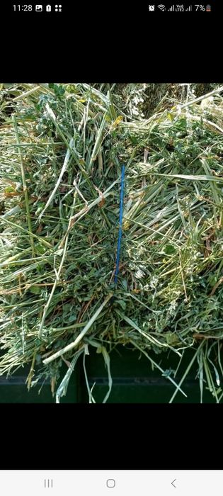 Vand baloti de lucerna