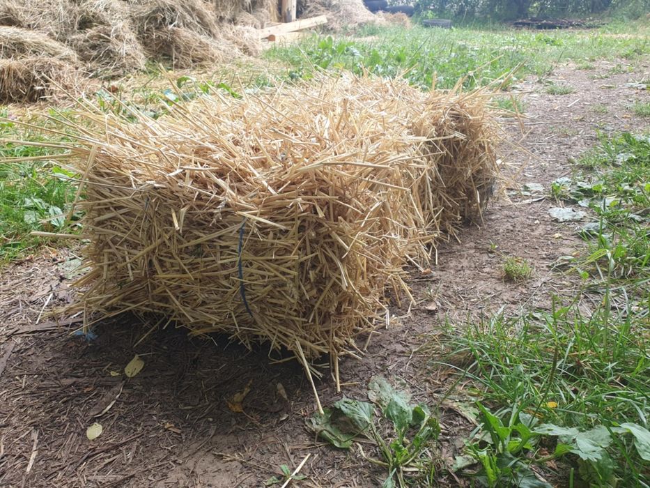 Vând baloți de fân și paie
