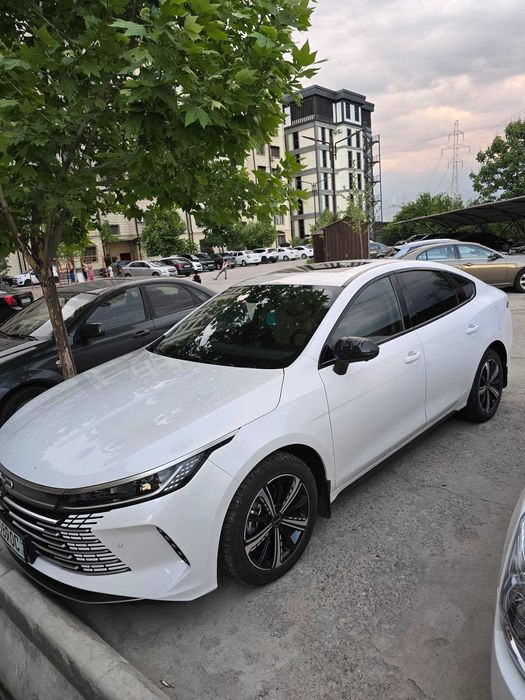 BYD Chazor (Flagship 120 km. full)