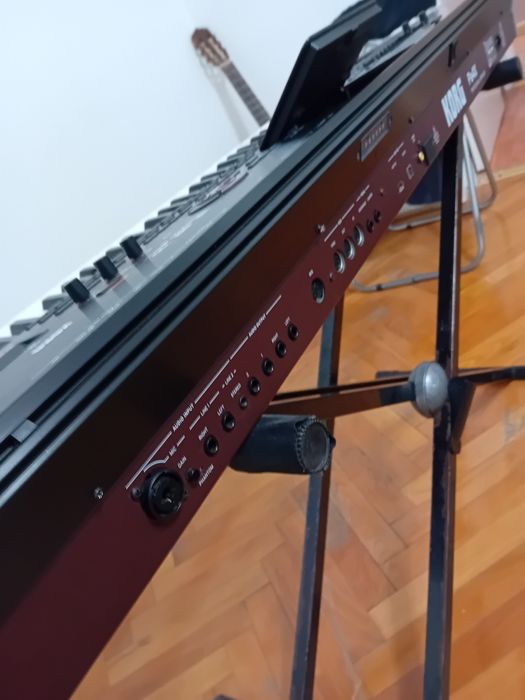 Korg pa4xpro internațional