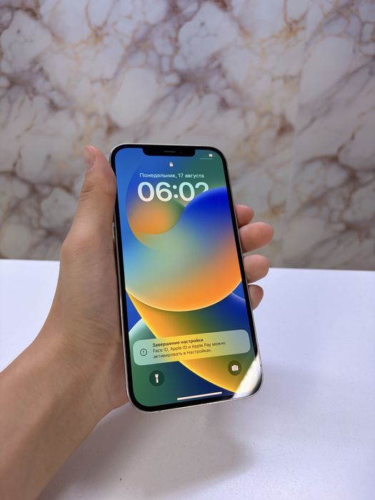 iPhone 12 Pro Max