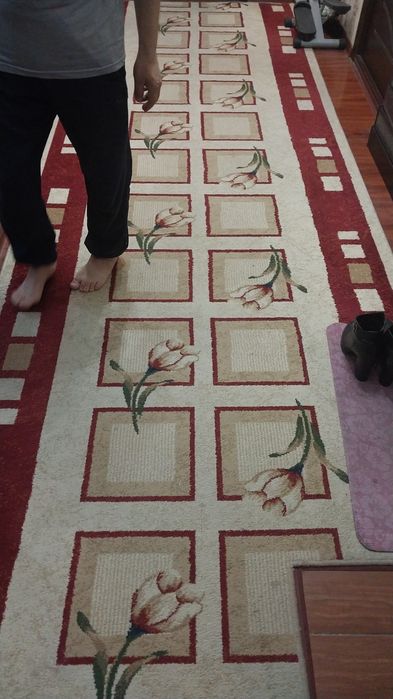 Qimmat Gilam yuvish korxonasi. Xa xa yanishmadiz sababi