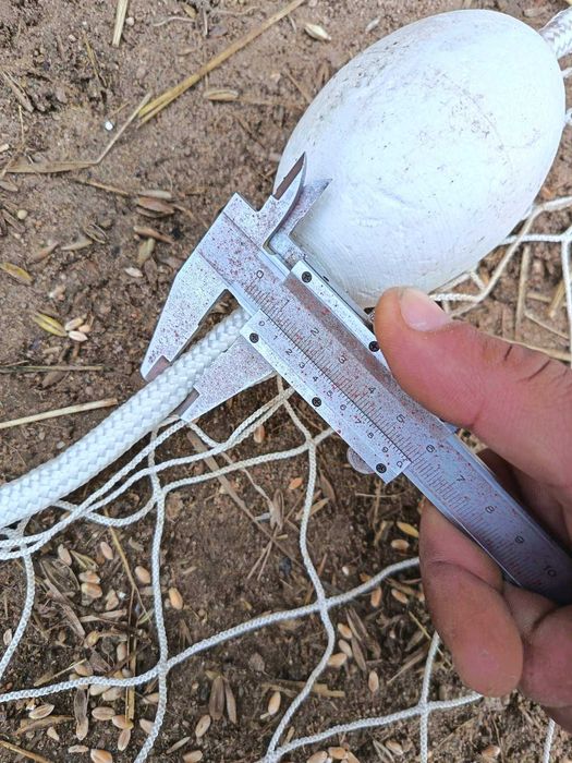 Рибарски Грип  и мрежи