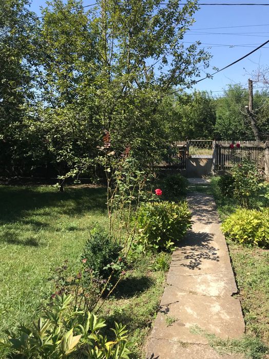 De vanzare casa plus teren
