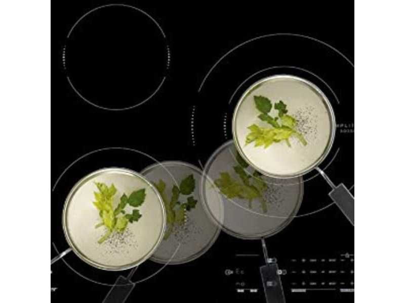 Индукционен Плот с Tри Зони Sauter SPI4362B, 7200W