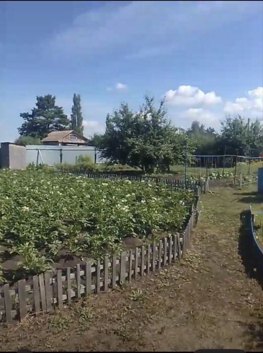 Продается Дача 12 соток