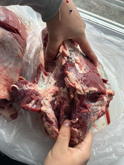 Говядина в брикетах