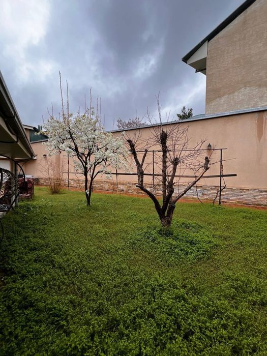 Земля Ракат Махалля 7 соток