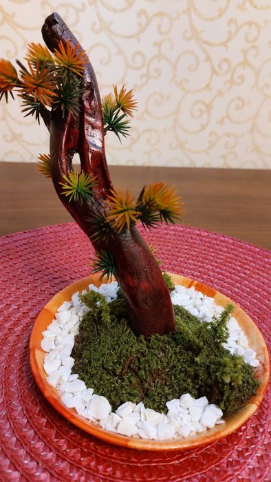 Бонсай авторская работа