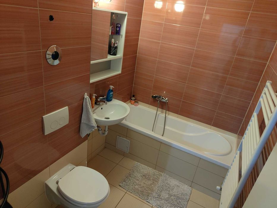 Garsonieră de închiriat în Avantgarden 3, Brașov de la 1 octombrie