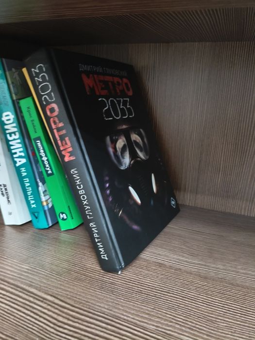 Книга Метро 2033