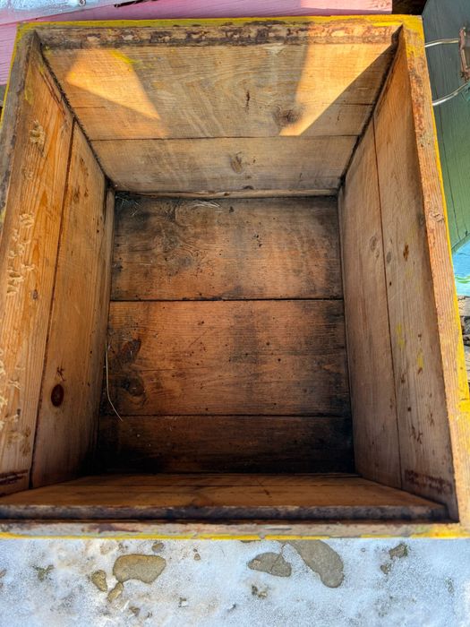 lazi apicole, rame crescute 3/4