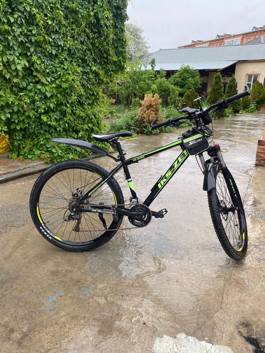 Только один сезон катались