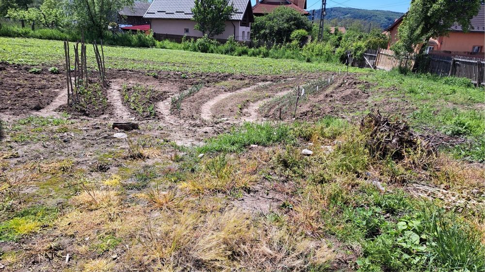 Teren intravilan, Albestii Pamanteni