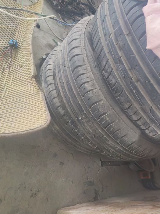 Покрышка лето cordiant