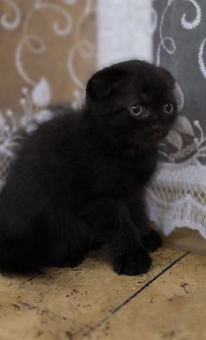 Милая и ласковая девочка