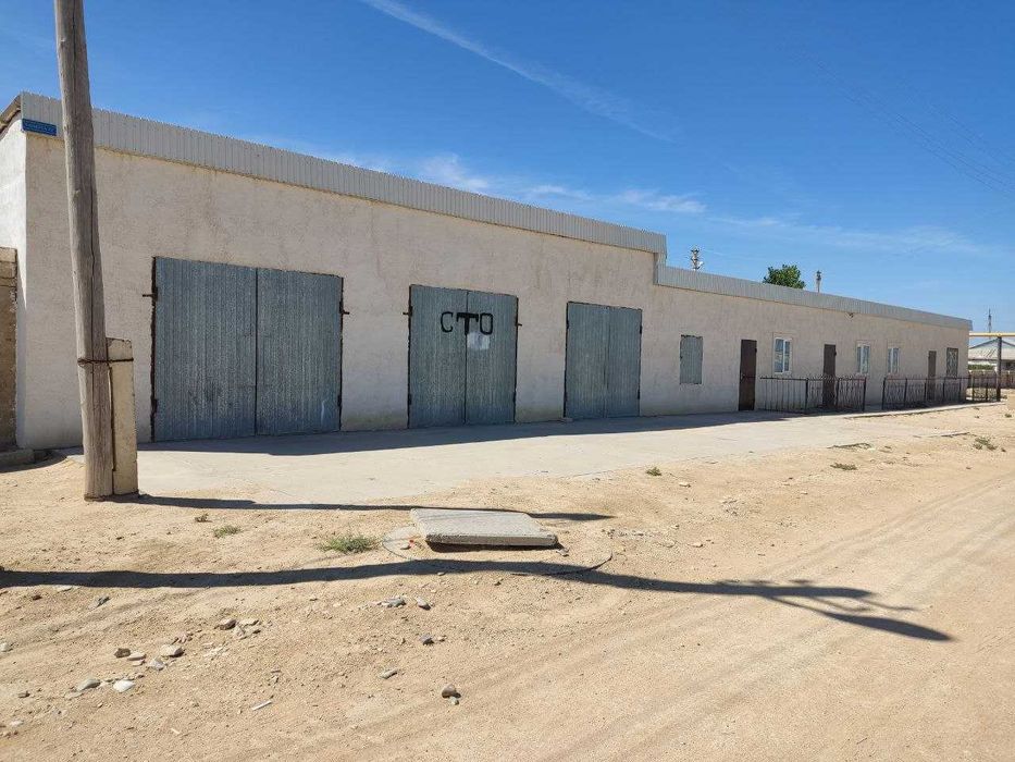 Қызыл төбе ул Балауса