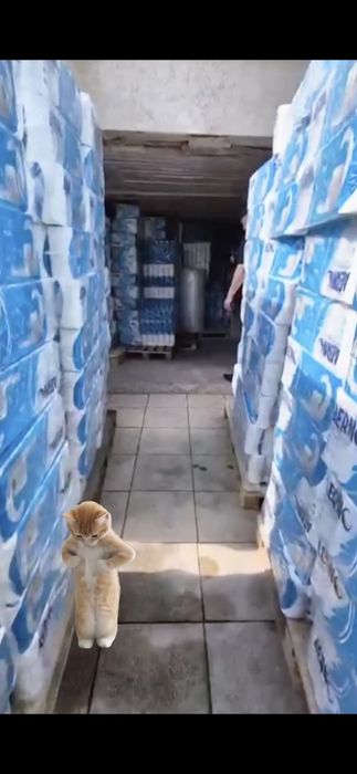 Туалетная бумага оптом