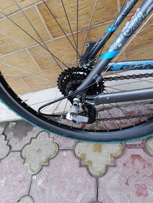 Giant 26 цола     .