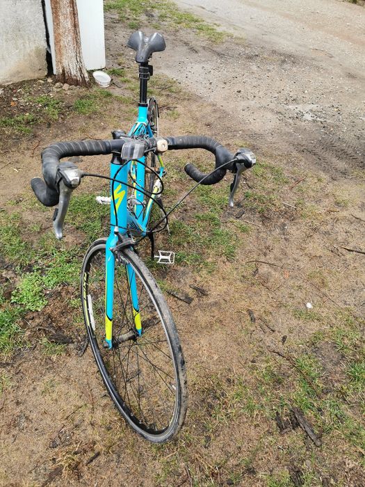 Cursiera  specelized elit