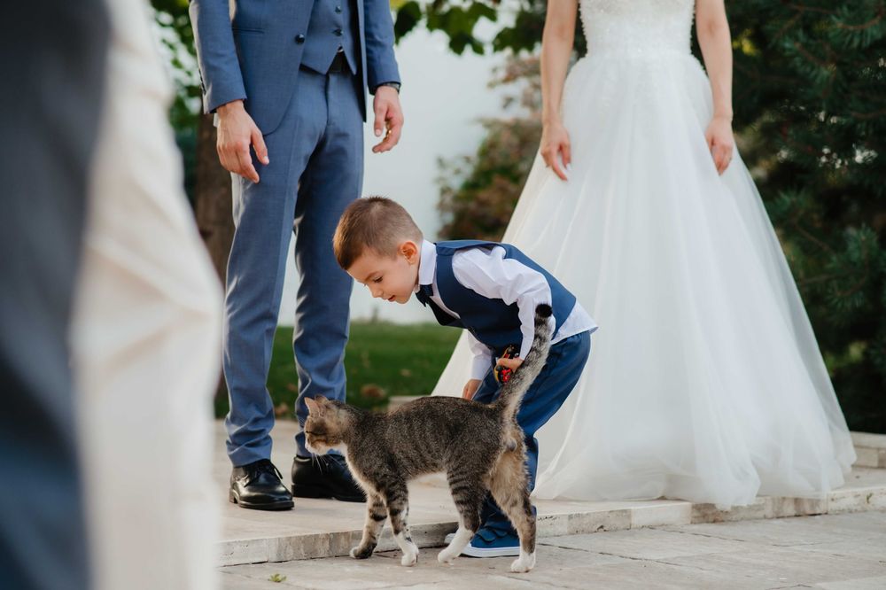 Fotograf Evenimente Nunta Botez