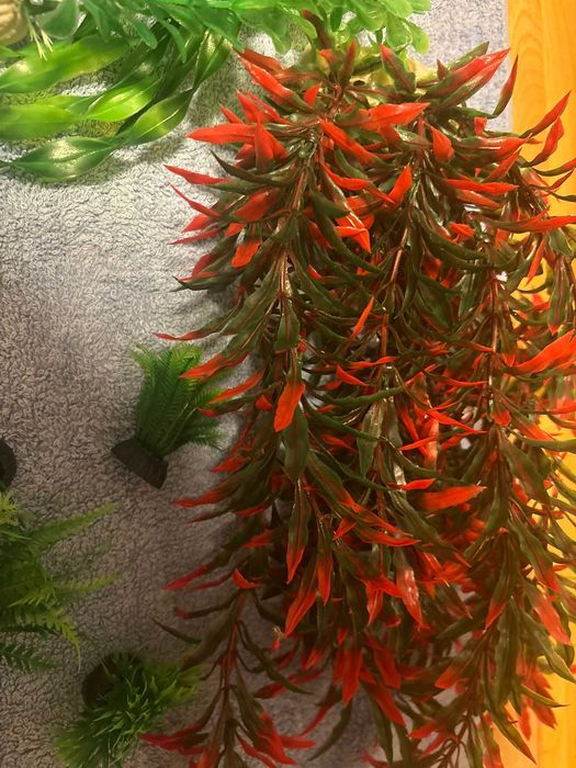 Plante de acvariu din plastic