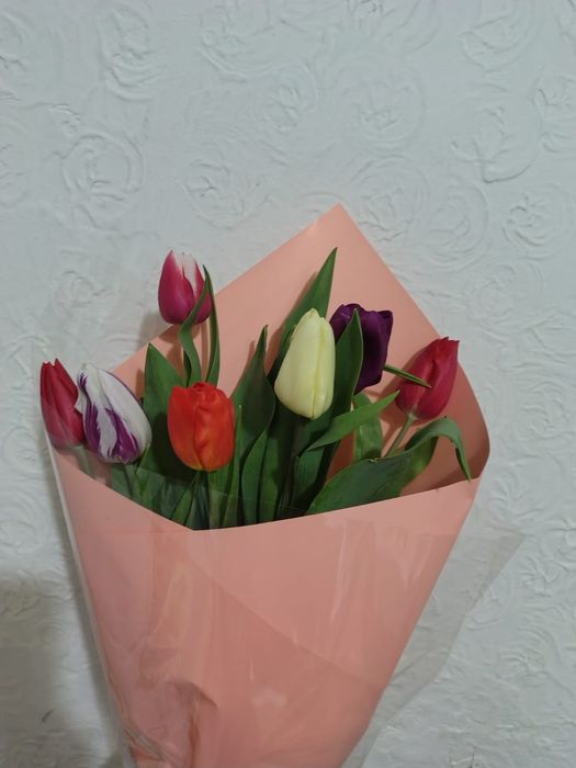 Тюльпаны красивые
